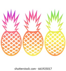 Vector pineapple tropical fruit outline set with gradients isolated