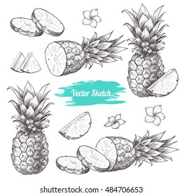 Vector pineapples hand drawn sketch with flowers.  Sketch vector tropical food illustration. Vintage style