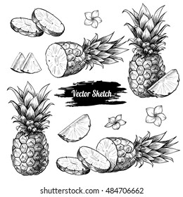 Vector pineapples hand drawn sketch with flowers.  Sketch vector tropical food illustration. Vintage style