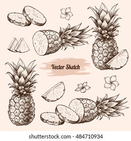 Vector pineapples hand drawn sketch with flowers.  Sketch vector tropical food illustration. Vintage style