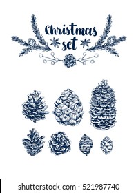 Vector Pinecone set, hand drawing sketch illustration. Design elements for card holiday decor. Collection of sketch object, botanical illustration pine cone, cedar. Vintage engraved graphic collection