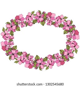 Vector Pink Apple blossom floral botanical flower. Wild spring leaf isolated. Engraved ink art. Frame border ornament square on white background.