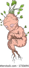  Vector pink baby sleepy mandragora.