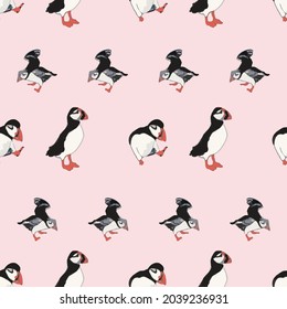 Vector pink background ocean seabird, arctic birds, puffins. Seamless pattern background