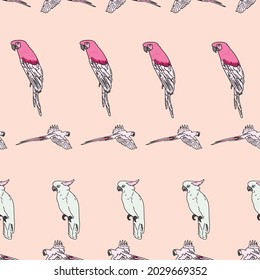 Vector pink background tropical birds, parrots, macaw, exotic cockatoo birds. Seamless pattern background