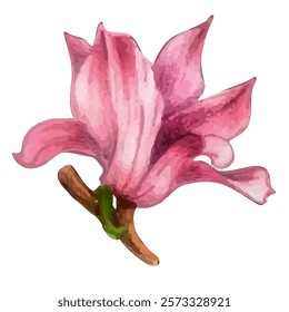 vector pink blooming magnolia flower