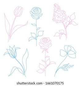 vector pink and blue flowers drawn in one line style.