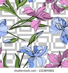 Vector Pink and blue iris floral botanical flower. Wild spring leaf wildflower isolated. Engraved ink art. Seamless background pattern. Fabric wallpaper print texture.