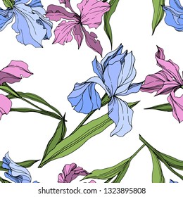 Vector Pink and blue iris floral botanical flower. Wild spring leaf wildflower isolated. Engraved ink art. Seamless background pattern. Fabric wallpaper print texture.