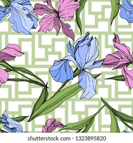 Vector Pink and blue iris floral botanical flower. Wild spring leaf wildflower isolated. Engraved ink art. Seamless background pattern. Fabric wallpaper print texture.