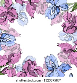 Vector Pink and blue iris floral botanical flower. Wild spring leaf wildflower isolated. Engraved ink art. Frame border ornament square.