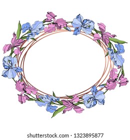 Vector Pink and blue iris floral botanical flower. Wild spring leaf wildflower isolated. Engraved ink art. Frame border ornament square.