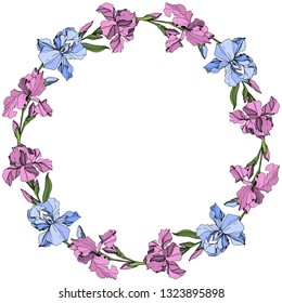 Vector Pink and blue iris floral botanical flower. Wild spring leaf wildflower isolated. Engraved ink art. Frame border ornament square.