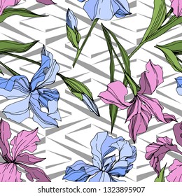 Vector Pink and blue iris floral botanical flower. Wild spring leaf wildflower isolated. Engraved ink art. Seamless background pattern. Fabric wallpaper print texture.