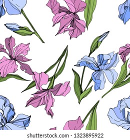 Vector Pink and blue iris floral botanical flower. Wild spring leaf wildflower isolated. Engraved ink art. Seamless background pattern. Fabric wallpaper print texture.