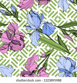Vector Pink and blue iris floral botanical flower. Wild spring leaf wildflower isolated. Engraved ink art. Seamless background pattern. Fabric wallpaper print texture.