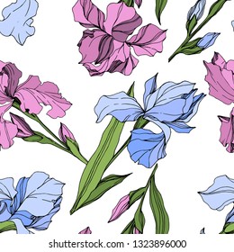 Vector Pink and blue iris floral botanical flower. Wild spring leaf wildflower isolated. Engraved ink art. Seamless background pattern. Fabric wallpaper print texture.