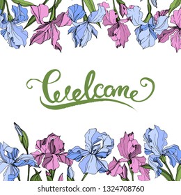 Vector Pink and blue iris floral botanical flower. Wild spring leaf wildflower isolated. Engraved ink art. Frame border ornament square.