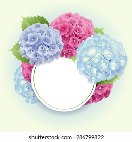 Vector of  pink, blue and violet hydrangea background with around label