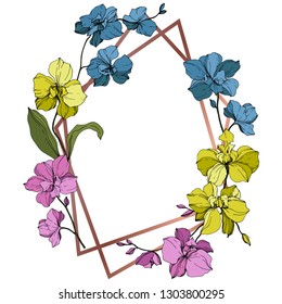 Vector Pink, blue and yellow Orcid floral botanical flower. Wild spring leaf wildflower isolated. Engraved ink art. Frame border ornament square.
