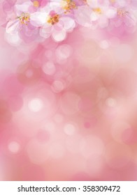  Vector  pink, bokeh background, blossoming sakura tree.