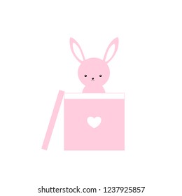 Vector Pink bunny rabbit in pink box