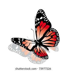 vector pink butterfly