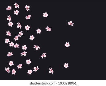 Vector Pink Cherry Blossom Confetti. Tender Wedding Romantic Decoration.
