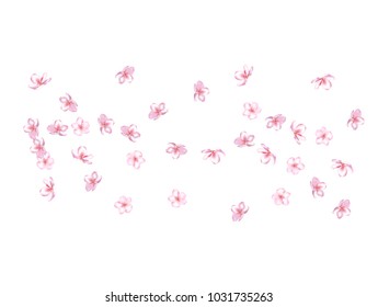 Vector Pink Cherry Blossom Confetti. Tender Wedding Romantic Decoration. Natural Pink Cherry Blossom Confetti. Apple, Sakura or Apricot Blooming Spring Showering. Light Magic Flying Petals.