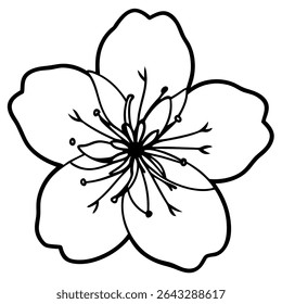 Vetor de flores de flor de cerejeira rosa - Ilustração botânica de primavera, Arte floral vibrante, Design de flor elegante, Arte da flor da árvore, Arte da natureza