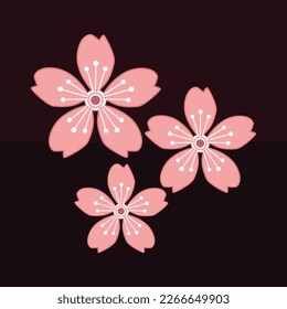 vector of pink cherry blossoms on a dark background