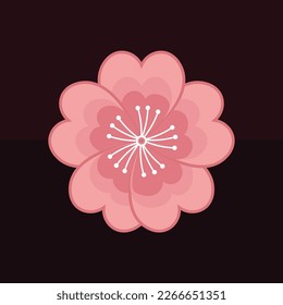 vector of pink cherry blossoms on a dark background