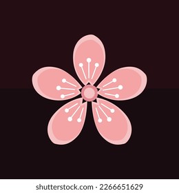 vector of pink cherry blossoms on a dark background
