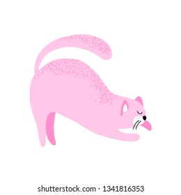 vector pink color funny cat cartoon character on white background