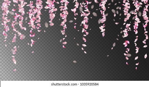 Vector pink falling petals with blurred defocused transparent detail