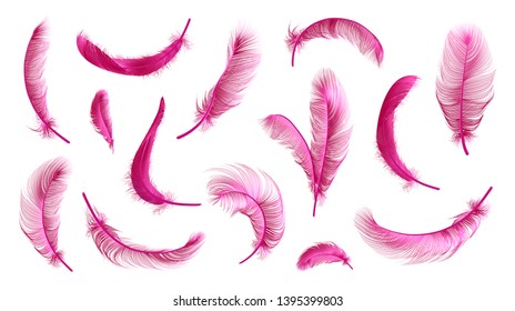 Vector pink feathers collection, flamingo feathers set of different falling fluffy twirled feathers, isolated on white, transparent background. Realistic style, colorful vector 3d illustration.