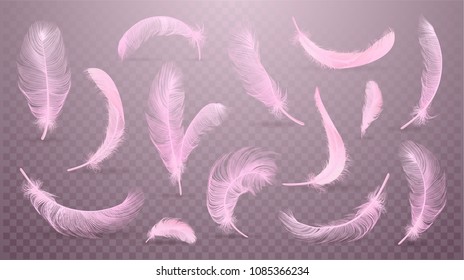 	
Vector pink feathers collection, set of different falling fluffy twirled feathers, isolated on background. Realistic style, vector 3d illustration.