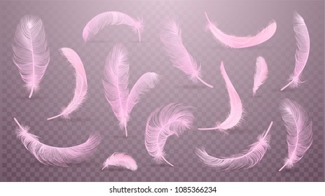 羽 の画像 写真素材 ベクター画像 Shutterstock