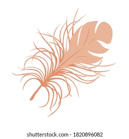 Plumas de color rosa vectorial aisladas en fondo blanco. Icono de pluma.