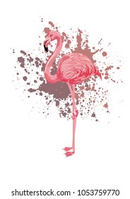 vector pink flamingo