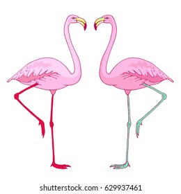 Vector pink flamingo bird couple illustration. Hand drawn sketch with the wild animal. Romantic Valentines day illustration