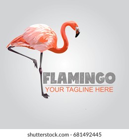 Vector Pink Flamingo Illustration