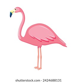 Vector Pink Flamingo Illustration On White Background