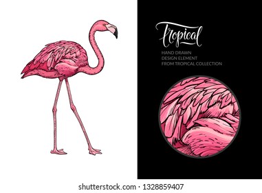 Vector pink flamingo isolated on white background. Tropical hand-drawn exotic bird. Flamingo illustration for summer poster, wallpaper, textile design, beach party decoration, logo. For print and web.