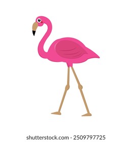 vector pink flamingo isolated on white background. mascot character illustration.