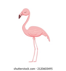 Se aísla el flamingo rosa vectorial en un fondo blanco. Caricatura flamingo lindo con los ojos cerrados puestos en dos piernas