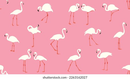 Vector pink flamingo seamless pattern. Summer tropical background. elegant flamingo birds family.