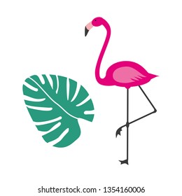 Vector pink flamingo. Vector tropical leaf. Illustration of monstera. Flamingo. 