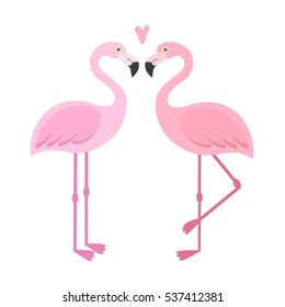 Vector pink flamingos illustration. Couple of tropical and exotic birds on white background. 