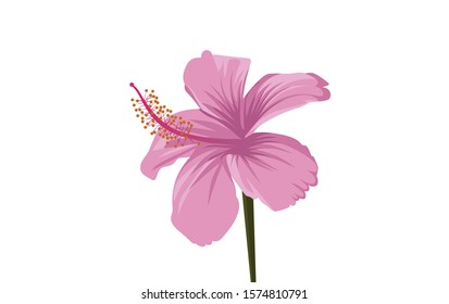 Vector pink floral design template